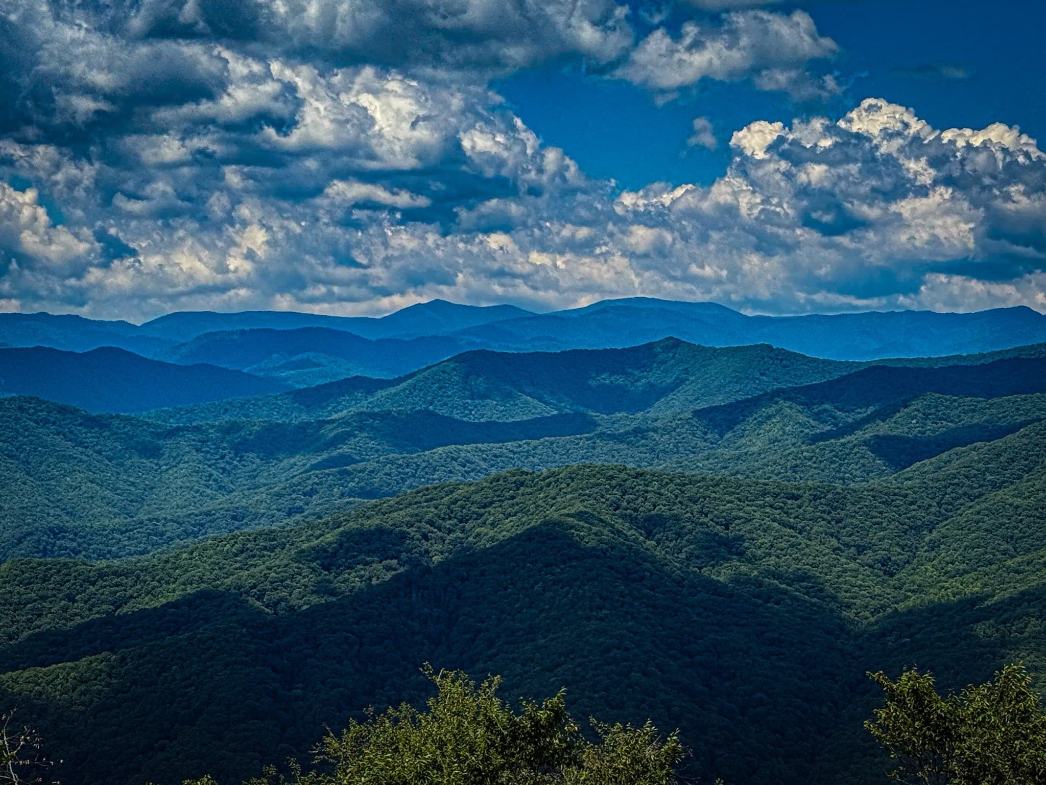 Blue Ridge Parkway Scenic Tour - Departing From Brevard